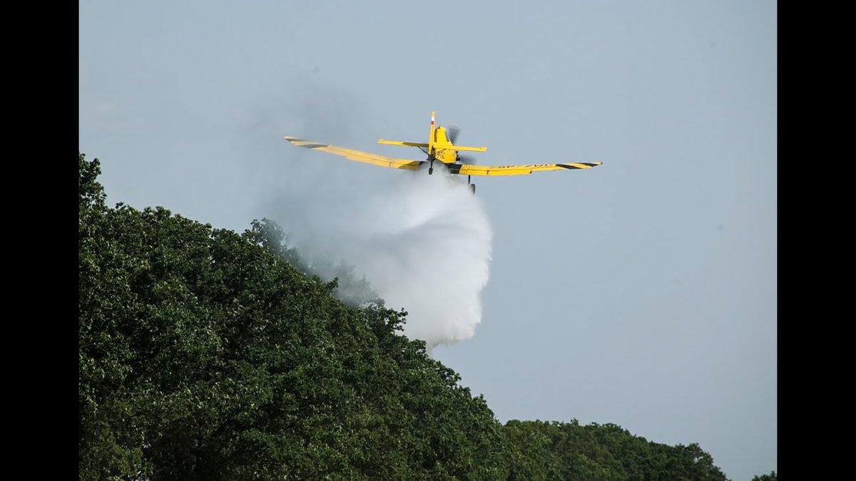Mutanta z Kampinos-u proszę zostawić nam. Wraz z  Nadleśnictwem już wykonujemy specjalne zrzuty płynu Lugola.