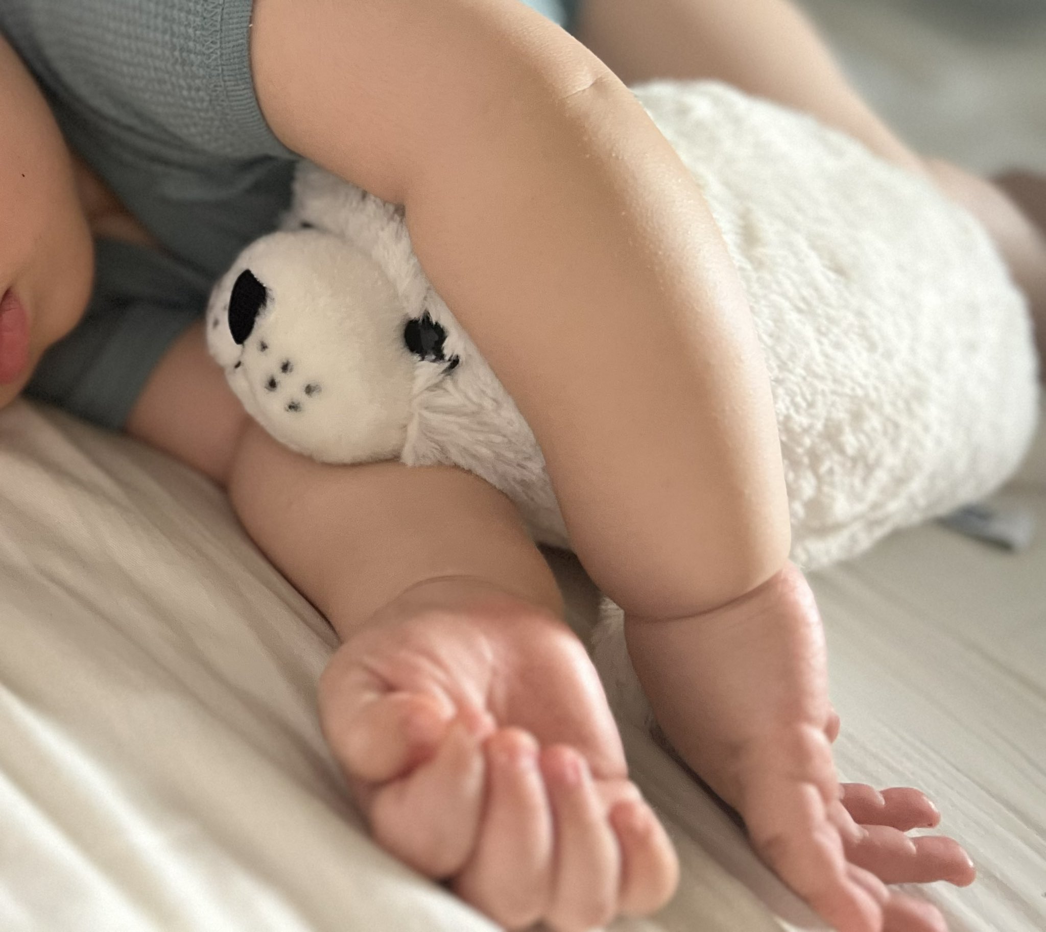 ばあば様❤️ご確認用 集合郵便受箱 AM-B6 6戸用 ラッチ錠 (KEY-10) コーワソニア