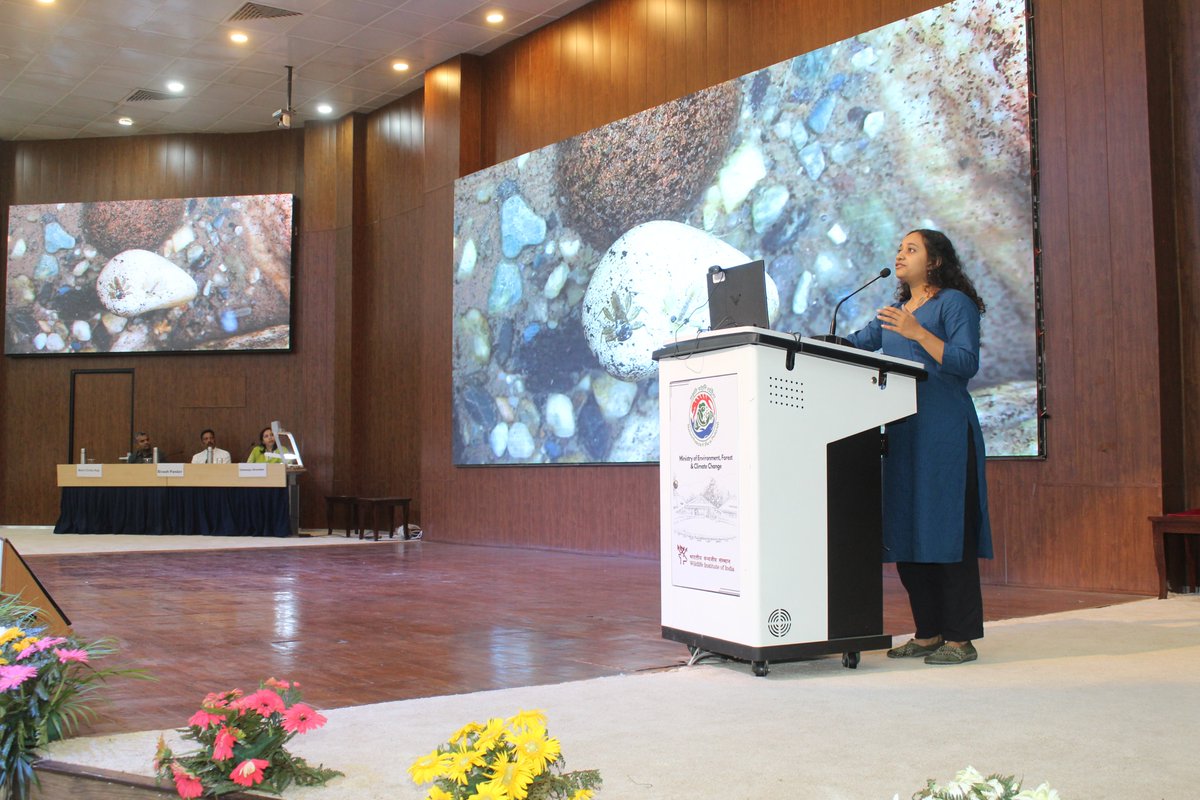 Wildlife Institute of India tweet media