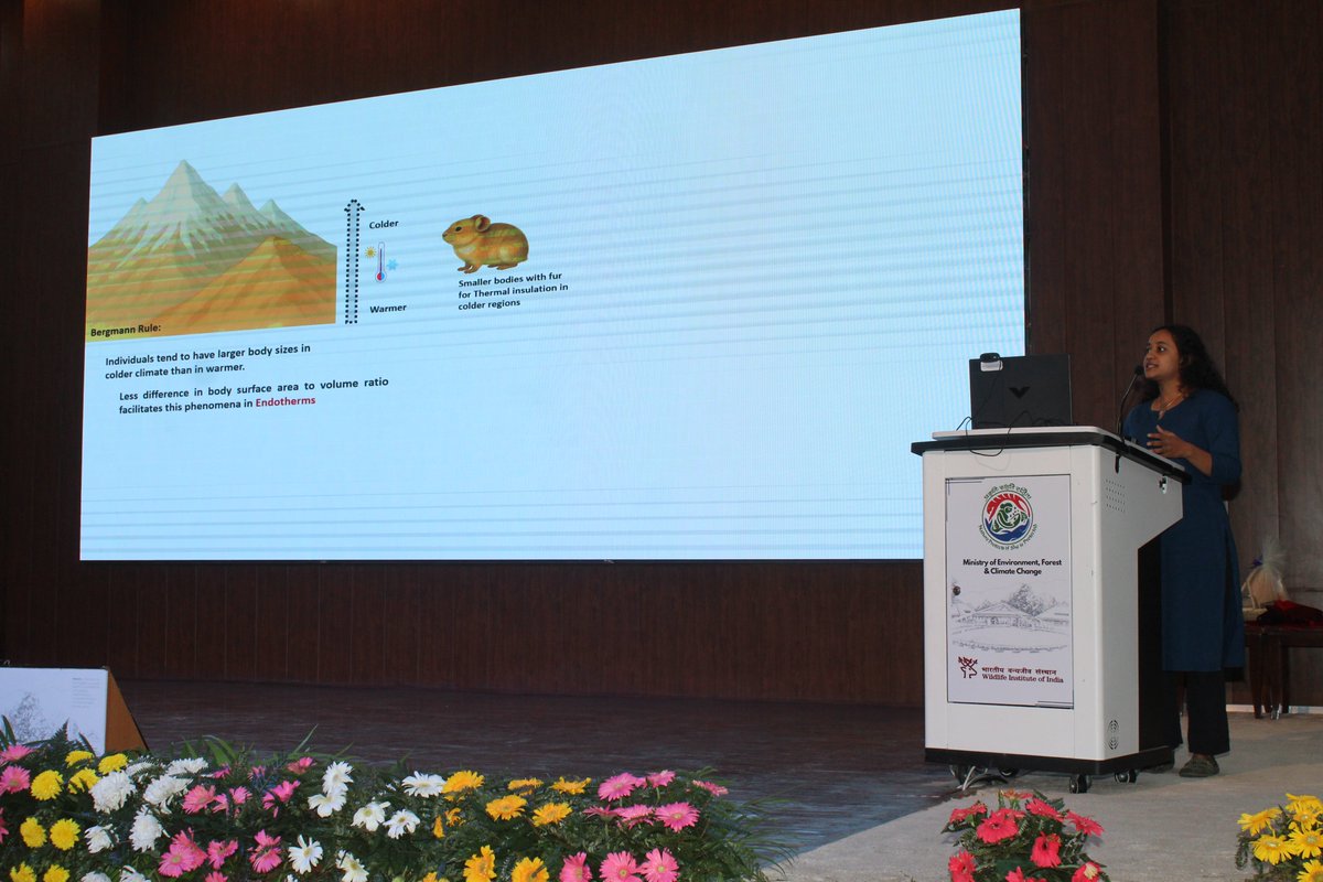 Wildlife Institute of India tweet media