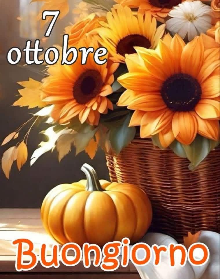 RITABIANCHi56 tweet media