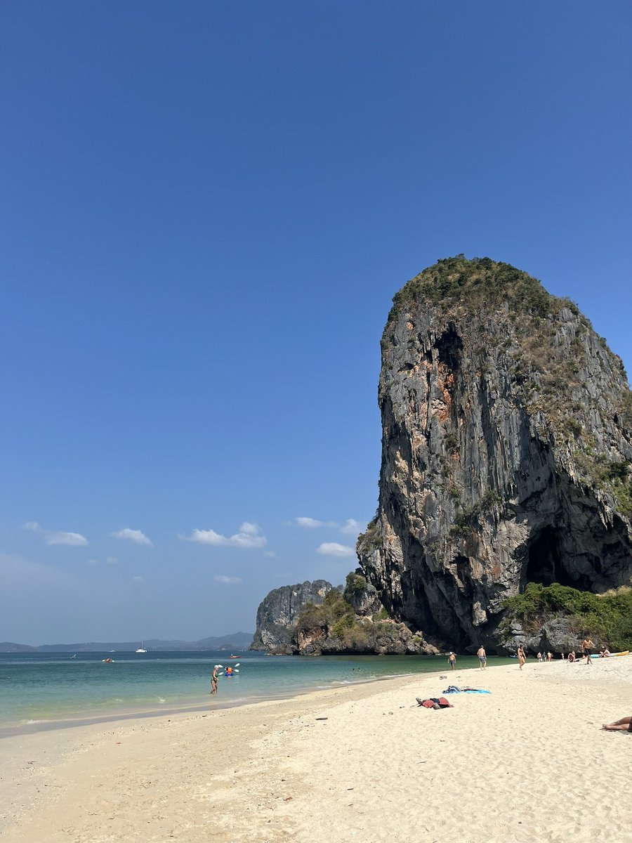 beanwi ⛩️ tweet media