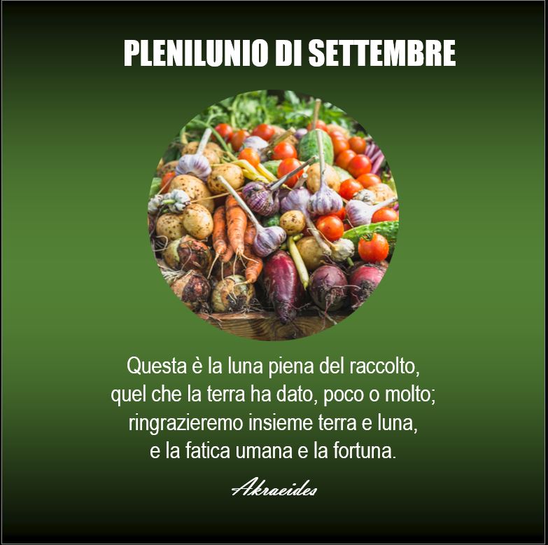 akraeides's tweet image. 