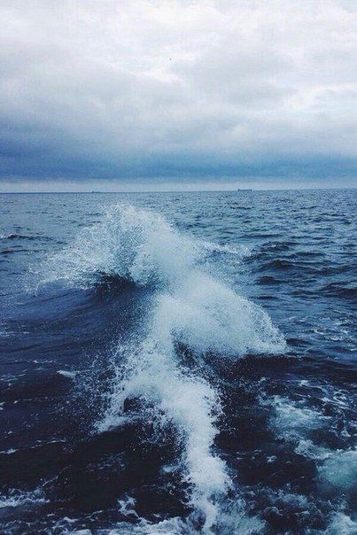 Катерина Галич tweet media