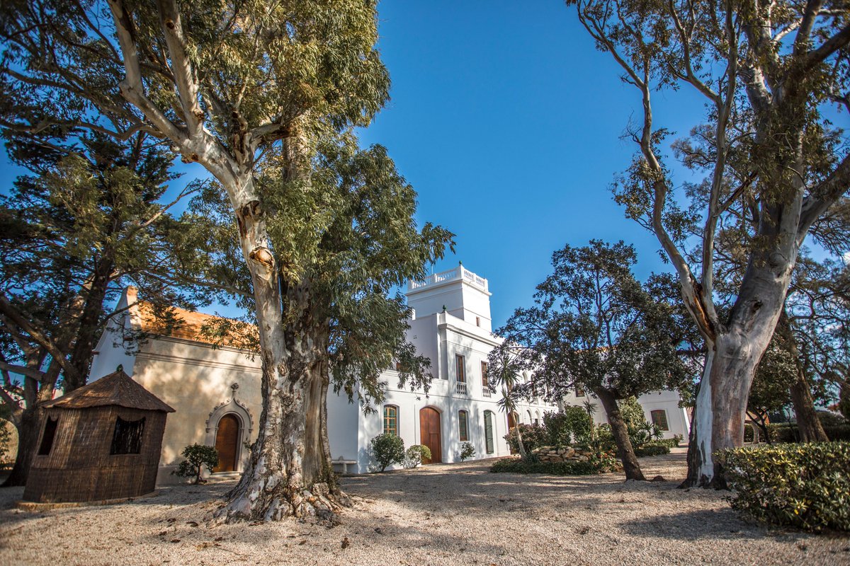 "Tota la meva obra és concebuda a Mont-roig" va dir Joan Miró. El genial artista va passar molts estius a la masia que las seva família va comprar al poble el 1911.

A Mas Miró podreu conèixer a fons la vida, l'obra i els espais de treball d'aquest pintor cabdal del S. XX.