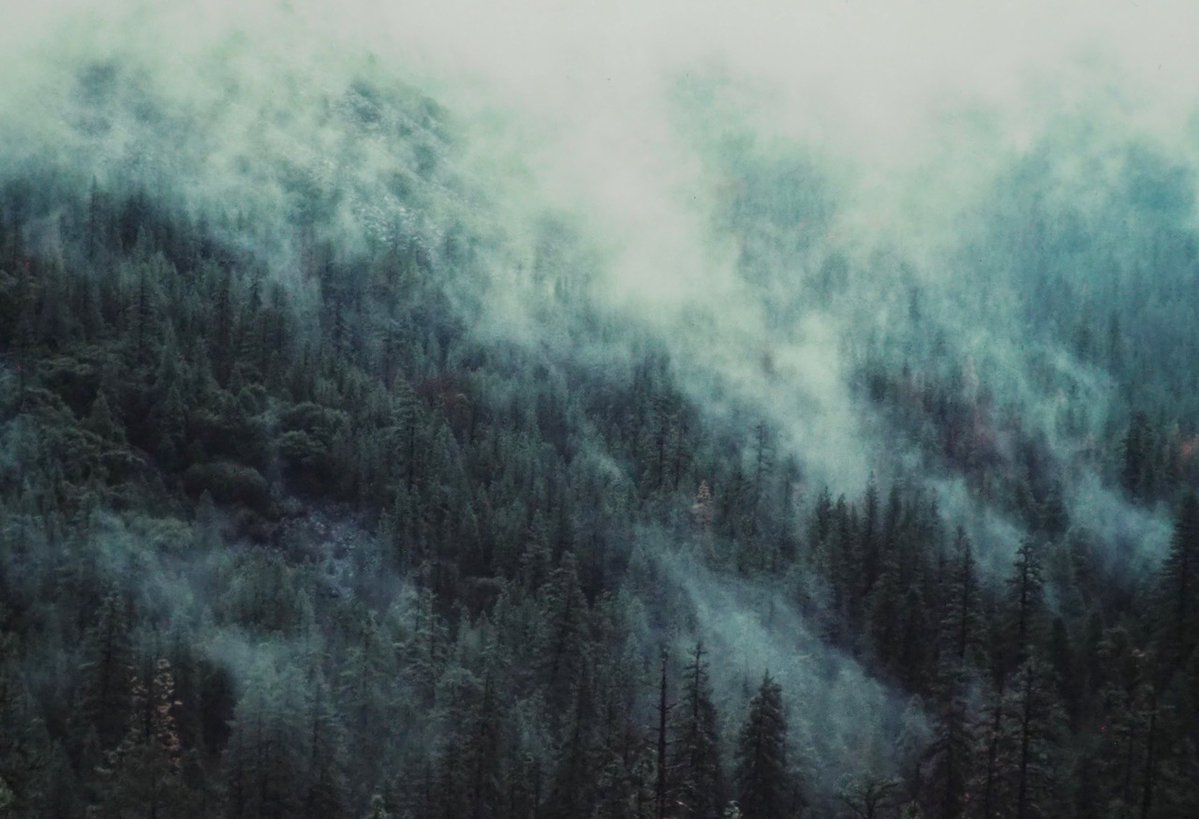 ChesterLRichar1's tweet image. Chester L. Richards

MISTY MOUNTAIN – Rogue River, Oregon

#photographyeveryday #photographyart #landscapelovers #landscapephotography

Photo copyright © 2024 Chester L. Richards – All rights reserved