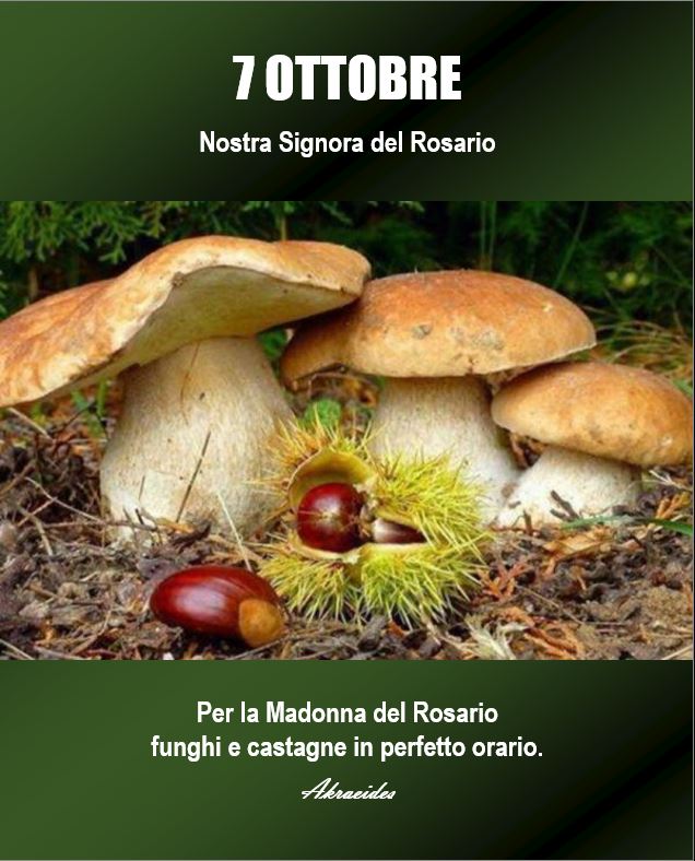 akraeides's tweet image. 