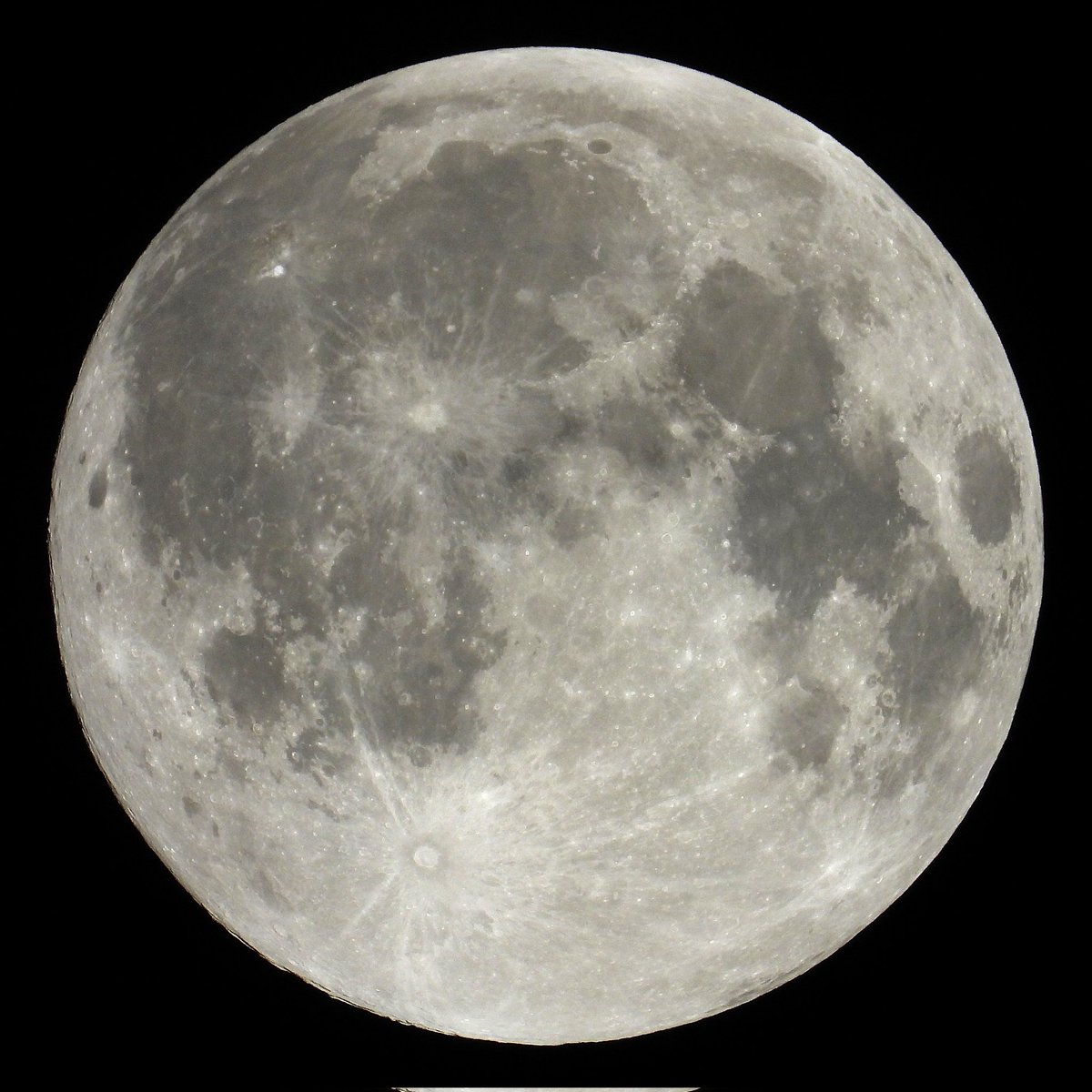 FunkyAppleTree's tweet image. The SUPERMOON was just that! #HuntersMoon aka #HarvestFullMoon @StormHour @ThePhotoHour @metoffice #supermoon #FullMoon