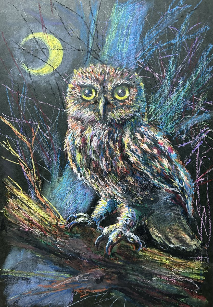 黒い厚紙に
アートクレヨンとポンキーペンシルで

久しぶりにフクロウ描きました🦉

フクロウ、ミミズク大好き