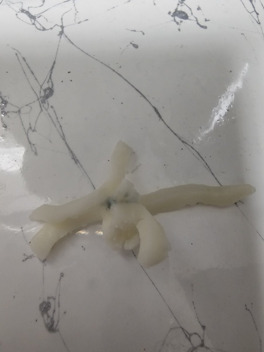 Samgularity1's tweet image. This shit gotta be cosmic or something. Not even 5 minutes

Everything is not so daijoubu boys