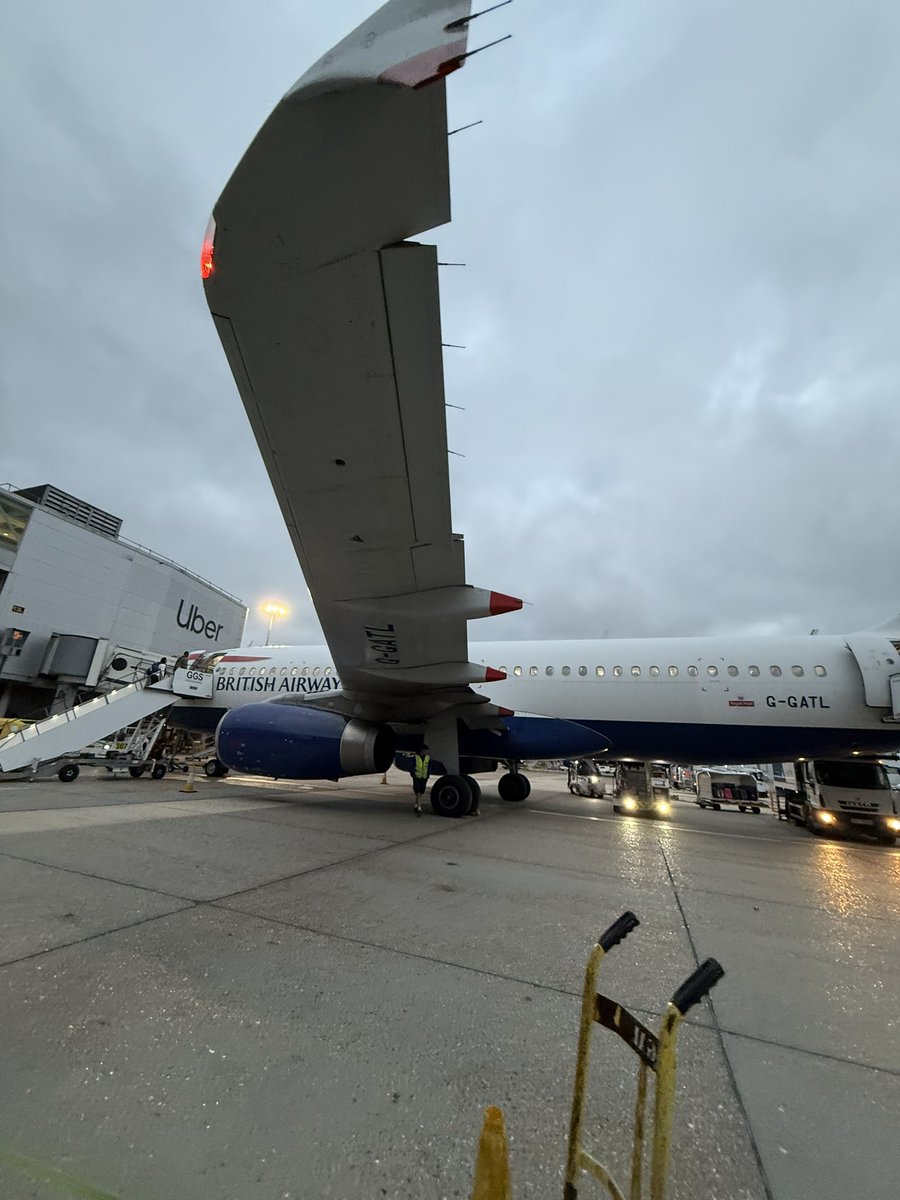 Let’s gooooo. Time for another trip to the sun with <a href="/PupJaffa/">Pup Jaffa</a> 💚🧡

Doggo’s incoming 🛫