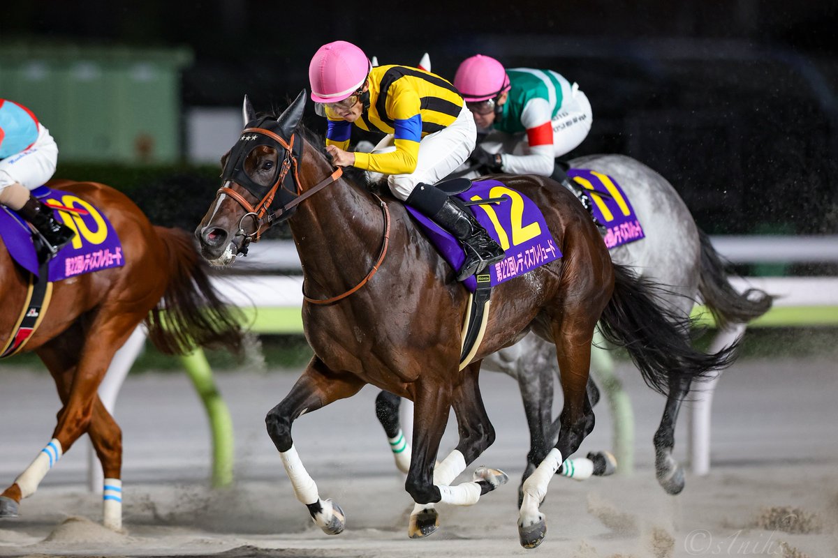 s1nihs's tweet photo. 2025.10.7 大井11R #レディスプレリュード
優勝 #ビヨンドザヴァレー #菱田裕ニ 騎手
大外一気に差し切り勝ち🏆
次走が楽しみになるレースでした！ https://t.co/phC5ffhJEj