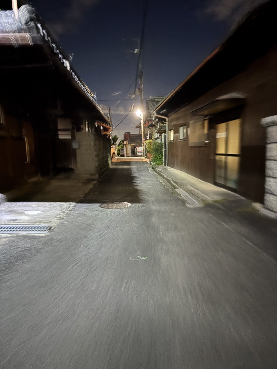 やっぱ夜のデス散歩楽しいな