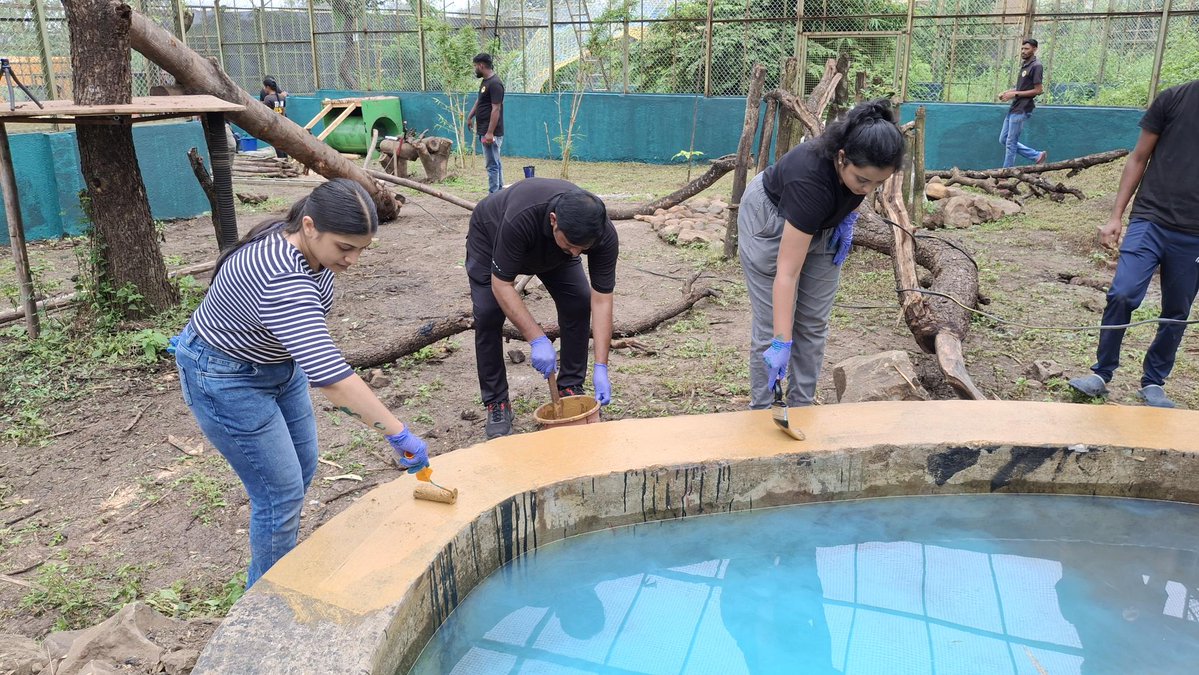 CSR_Persistent's tweet image. Wildlife Volunteering in Action! 🐾
Our volunteers helped prepare & paint an aviary for a rescued leopard at ResQ, creating a safe space and deepening our connection with wildlife conservation. Thank you to all who made this possible!
#CSR