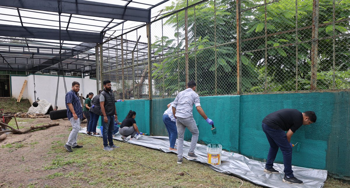 CSR_Persistent's tweet image. Wildlife Volunteering in Action! 🐾
Our volunteers helped prepare & paint an aviary for a rescued leopard at ResQ, creating a safe space and deepening our connection with wildlife conservation. Thank you to all who made this possible!
#CSR