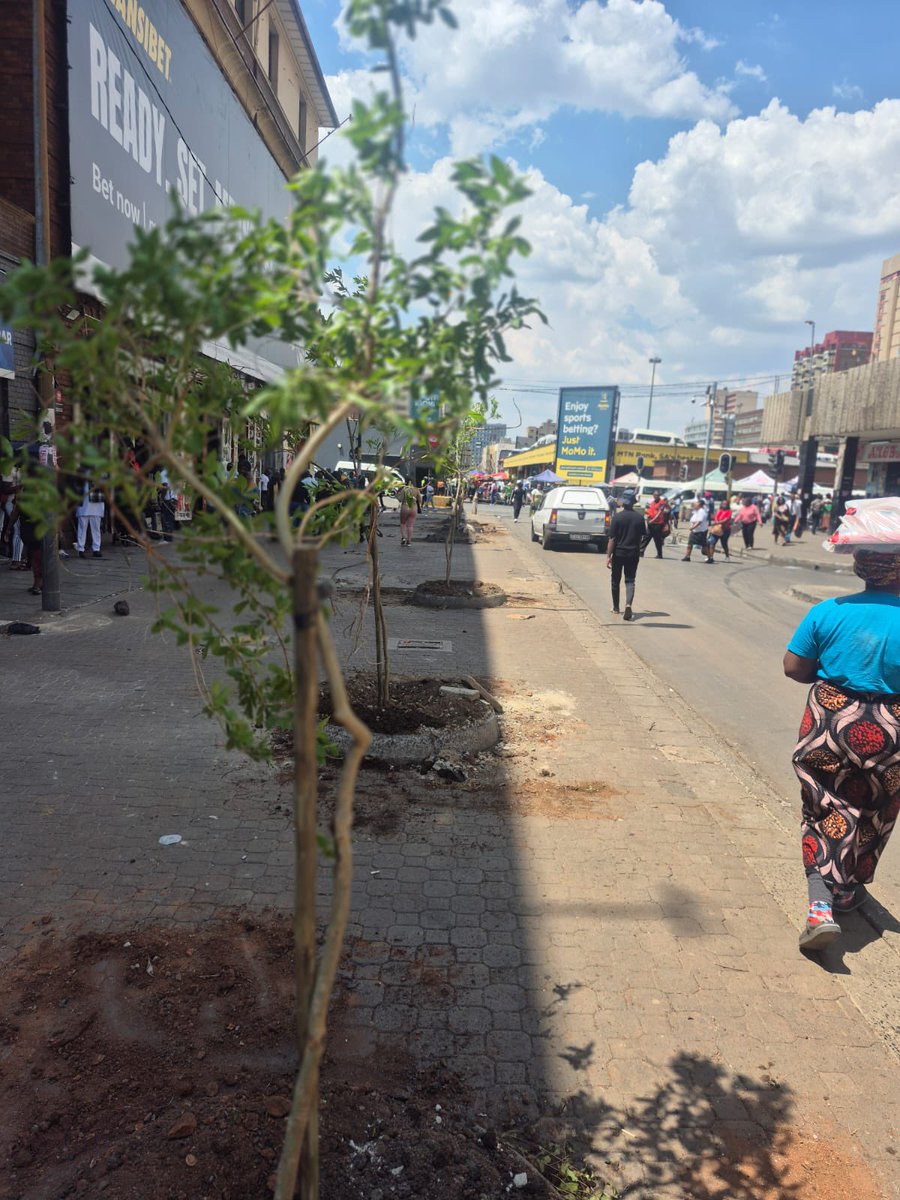 Executive Mayor of the City Of Joburg tweet media