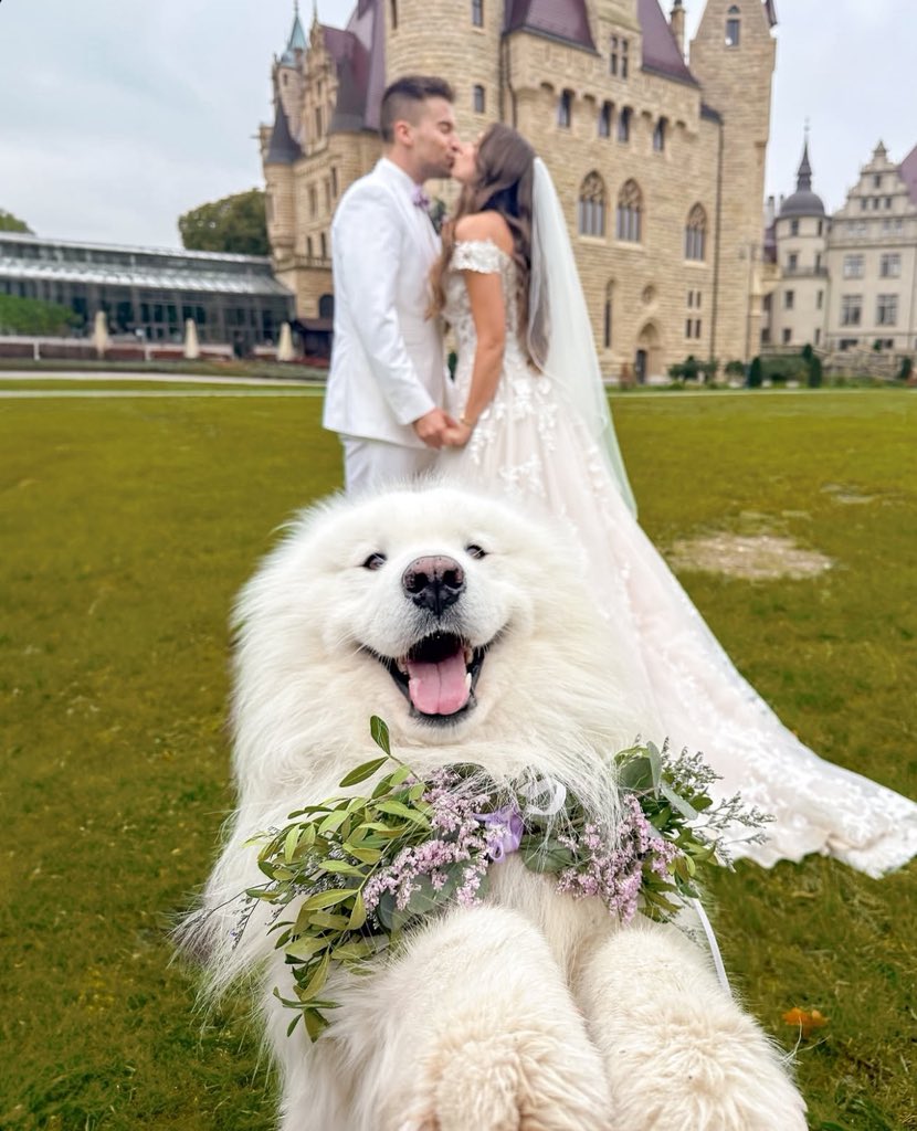 How cute is this photo from 1-10