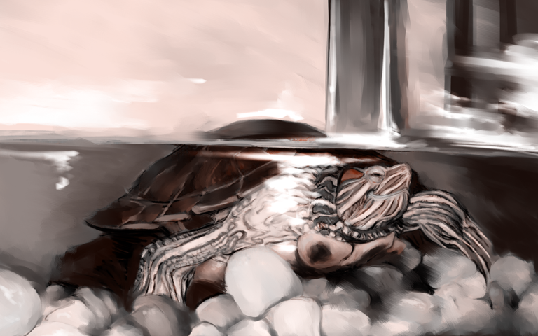 51 Cavallette (GhM 🇮🇹 fanpage) tweet media