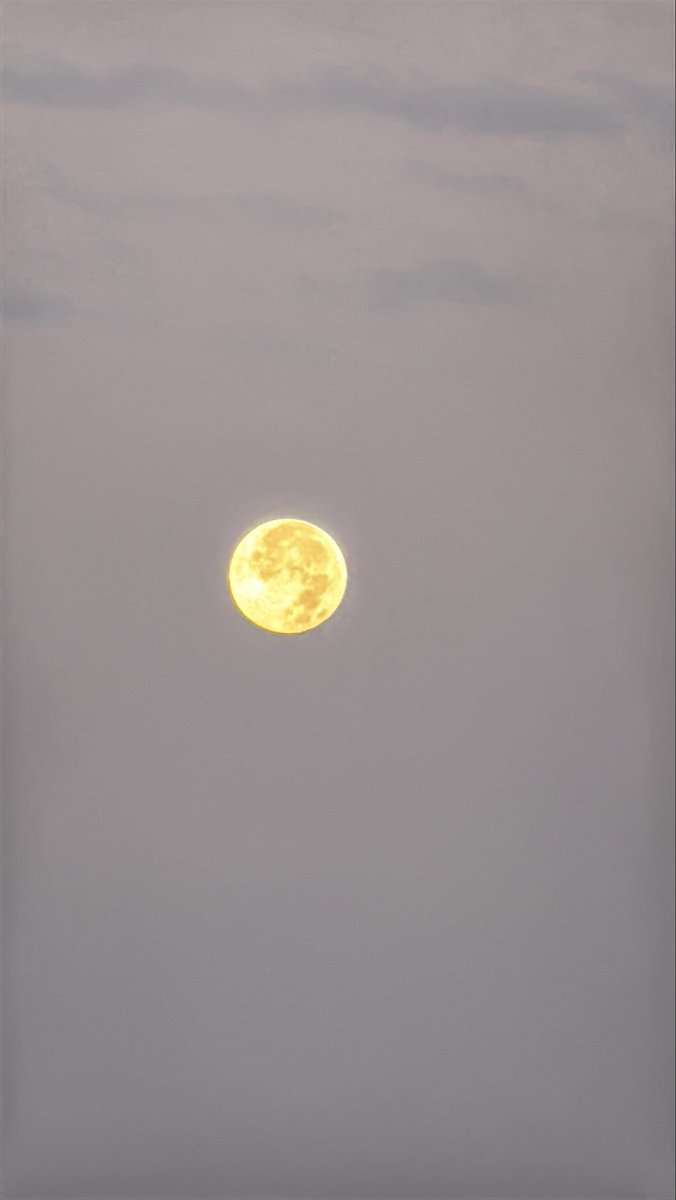 NYCRobyn's tweet image. This mornings #HarvesMoon #intheberkshires @christinatalamo @PaulCaiano @Radar_Reid