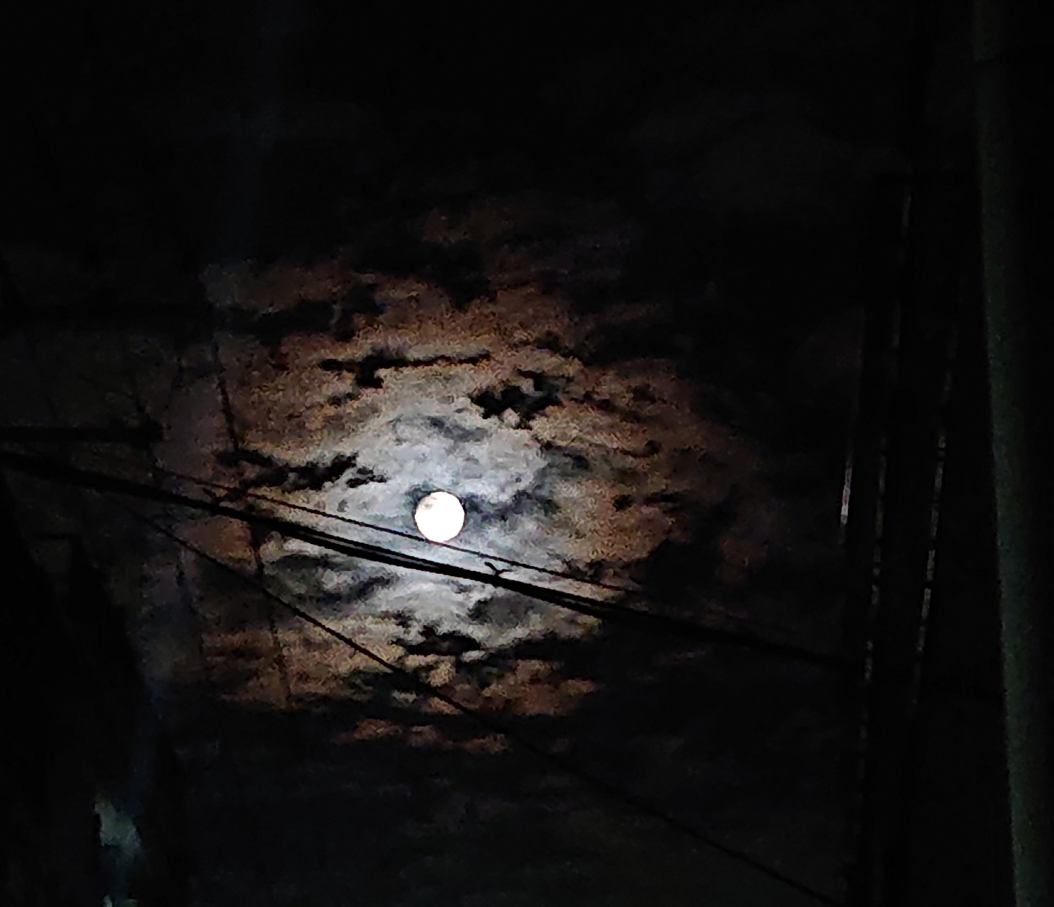 真昼の月は所在なく霞んでる hq720.jpg?sqp=-