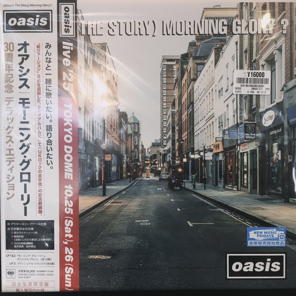 【国内盤】OASIS Morning Glory オアシス アナログレコードLP 本日限定‼️本日発送‼️oasis morning glory レコード新品未使用