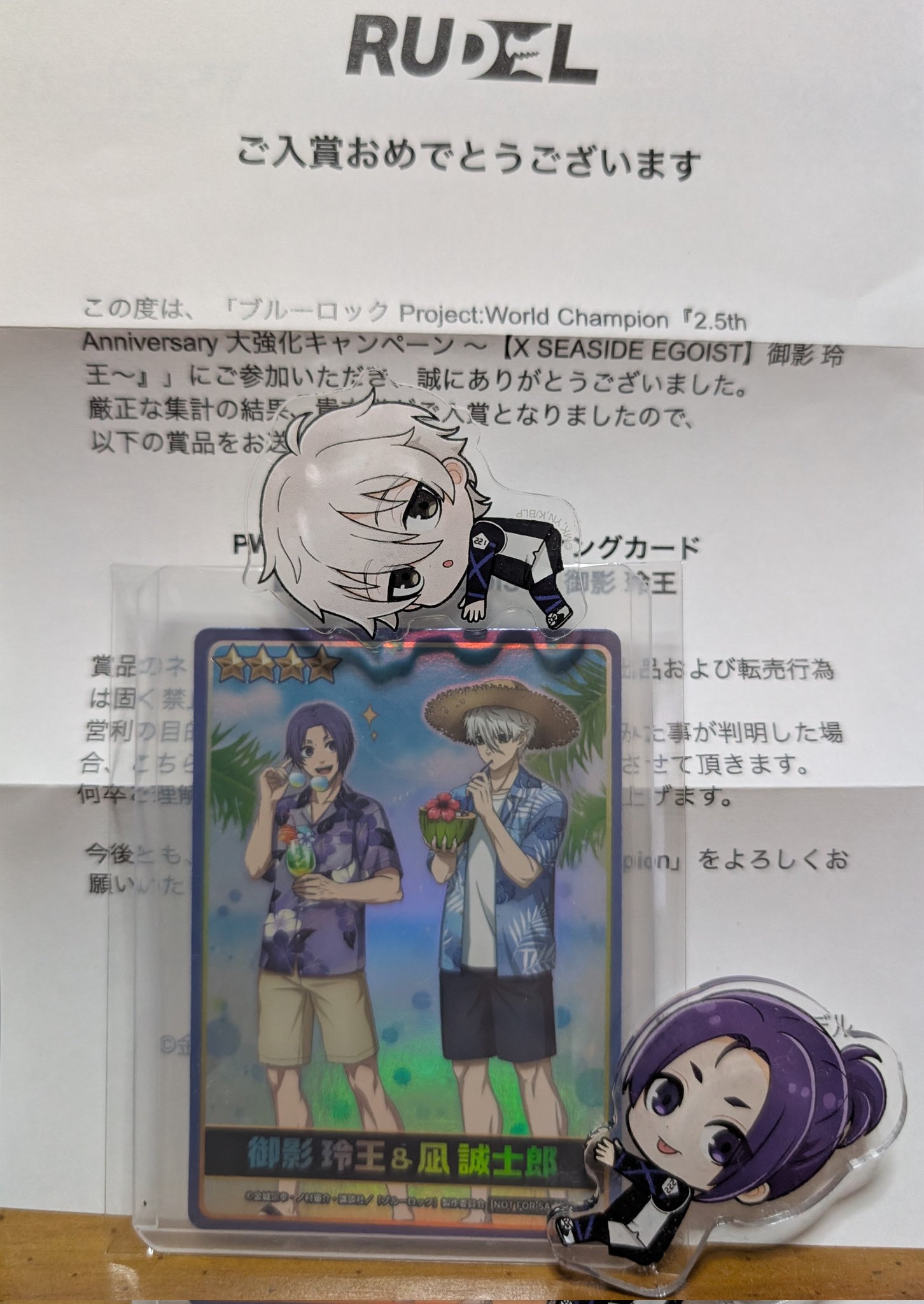 ［非売品］ブルーロック　pwc 凪&玲央　アクリルスタンド 最安値‼️】非売品ブルーロックPWC凪玲央クリスマスverアクスタ