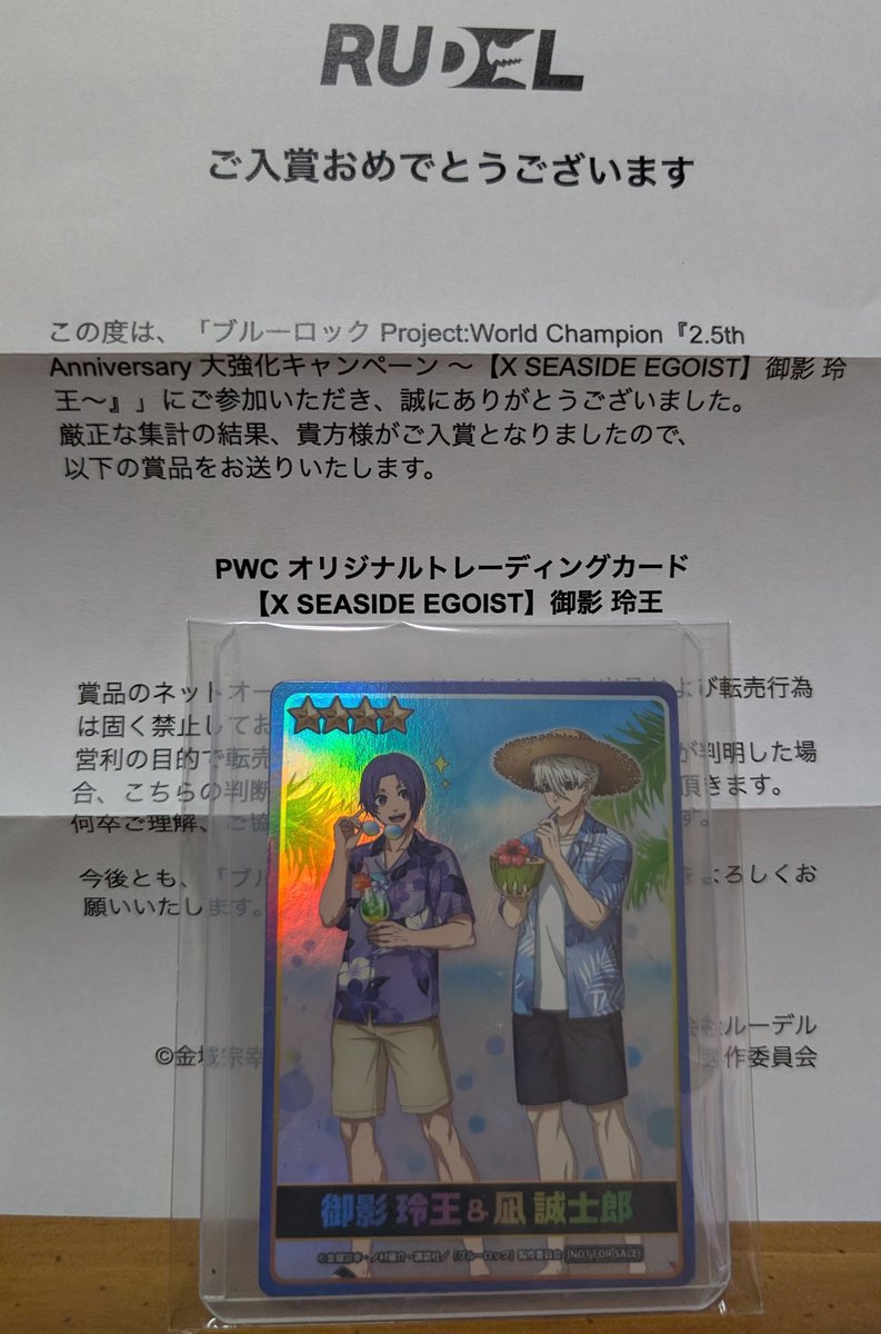 ブルーロックPWC【玲王＆凪】X SEASIDE EGOISTver.トレカ ブルーロック