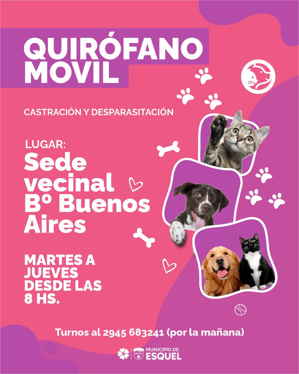 🐶🐱 El quirófano móvil llega al Barrio Buenos Aires

📍 Sede vecinal del Barrio Buenos Aires
🗓️ De martes a jueves – desde las 8:00 hs
Acercá a tus mascotas para acceder a los servicios de castración y desparasitación totalmente gratuitos.