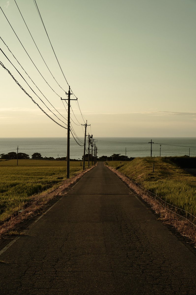 gaolang3c's tweet image. 海岸へと続く道
SIGMA fp L & SIGMA 28-70mm f2.8 DG DN
#naturephotography #naturelovers #sigmafpl #sigma #sigmalens #beach #beachlife