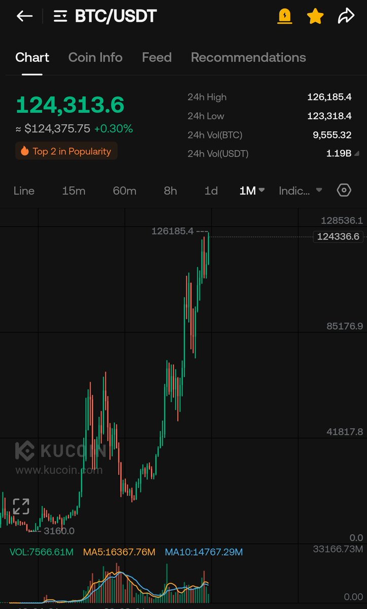 WIZZ🥷 ( beware scammers ) tweet media