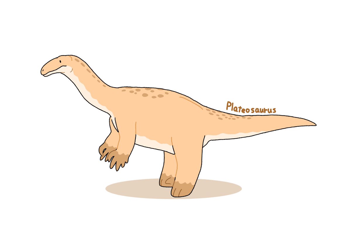 Dino55313051's tweet photo. プラテオサウルス
#プラテオサウルス #Plateosaurus https://t.co/ENyDEY2IZN
