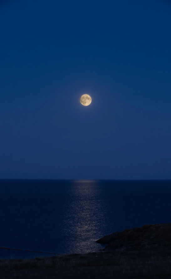 vimo1989's tweet photo. The moon is rising over the sea, and the world is so small. Are you homesick in a foreign land?  #Sunbathemoon #FullscreenGodChallenge #MoonRisingOvertheSea #Magnifyeverylittlebeautyinlife #Moon https://t.co/yy5lAGSpYg