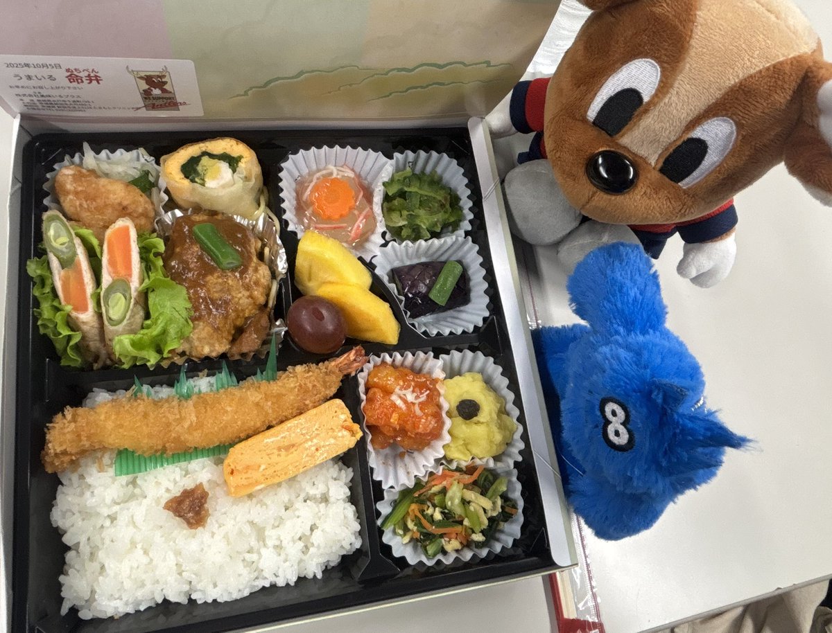 浅野ページ NODA 框 化粧シートフロア対応 カナエルCデザインカラー 上り框