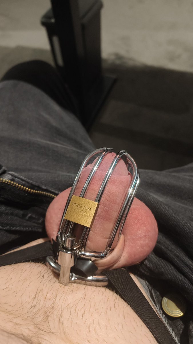 #Locktober 9/33 

My cock know that's sitting at my computer is wanking time. It is struggling to unlearn that lesson so far but today it seems to have calmed down a little.