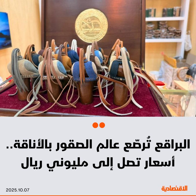 تعد صناعة البراقع الخاصة بالصقور من الحرف التراثية الضرورية في عالم الصقارة، إذ تصل قيمة البرقع الواحد في بعض الأحيان إلى مليوني ريال، وهذا ما يمنح الصناعة زخما دائما، وحرصا على استخدام الجلود الطبيعية لحماية الطير وإبراز فخامته وأناقته، وفقا لما ذكره عاملون في الصناعة ل الاقتصادية - الإنتاج ينقسم إلى فئات تشمل قصات الجوكر والمنغولية. للتفاصيل 