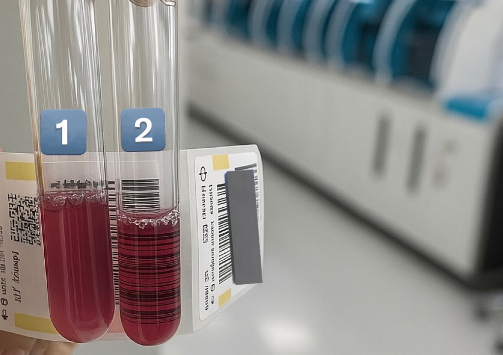 MLS. Tayf tweet media