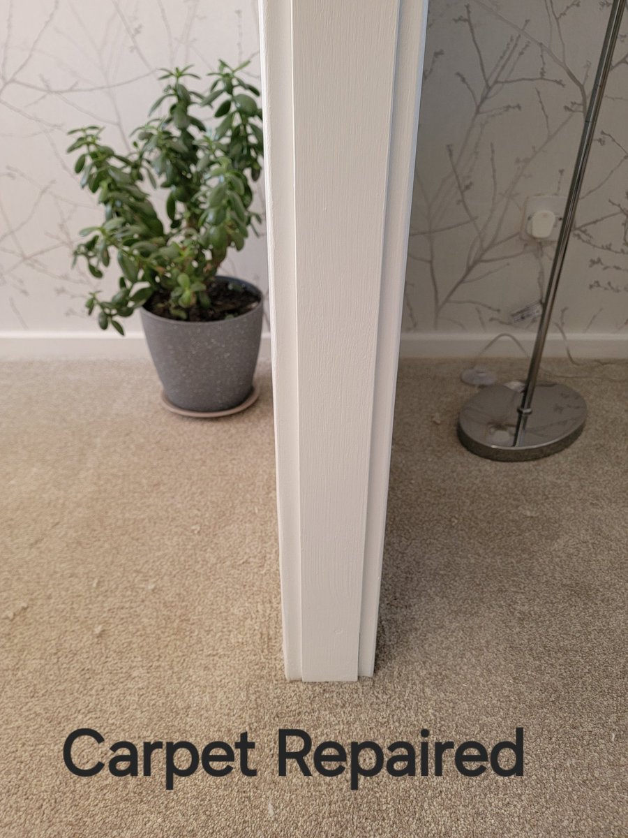 CarpetDoctor's tweet photo. Professional carpet repair service. Welcome to https://t.co/jhEFquoIaa
#carpet #burn #repair
#zoozstock https://t.co/oNw8jo4LOr