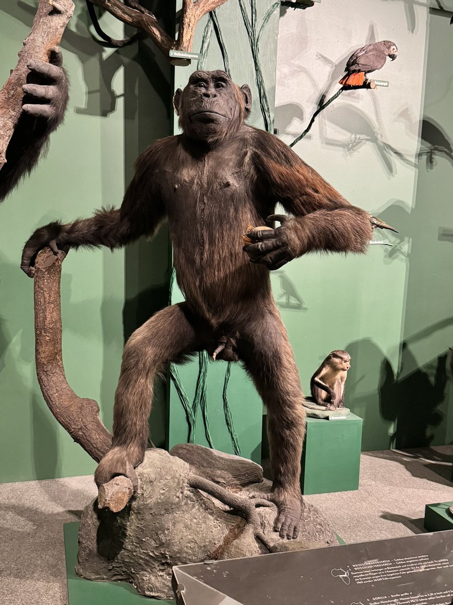 1andererUser's tweet image. Alles erinnert mich an ihn…