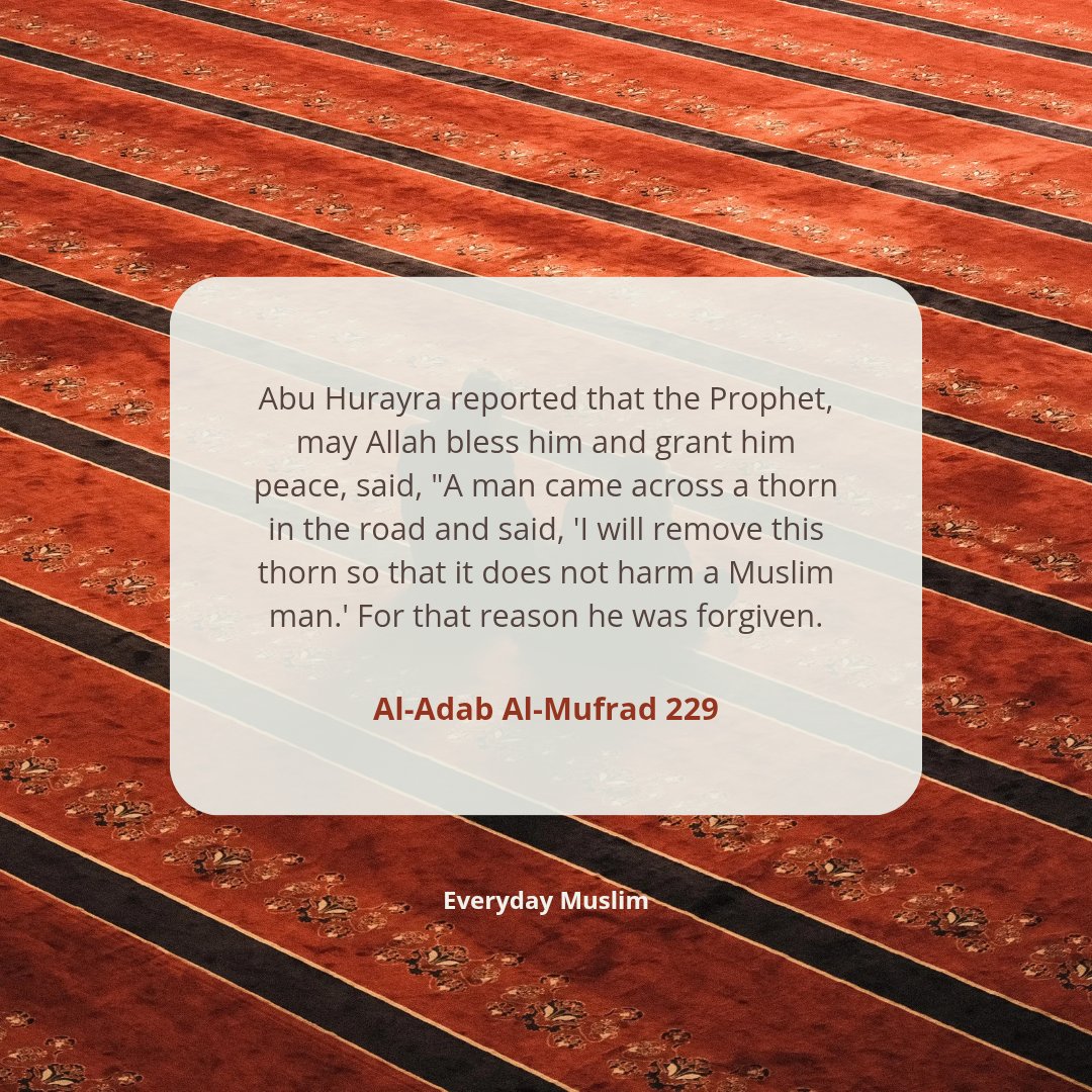 DEverydayMuslim's tweet image. Sometimes goodness isn’t in grand gestures — it’s in the quiet acts of care that no one else notices.
Even the smallest kindness done sincerely for Allah’s sake can open the door to His mercy. 💖

#EverydayMuslim #HadithReflection #KindnessInIslam #GoodDeeds #PropheticTeachings