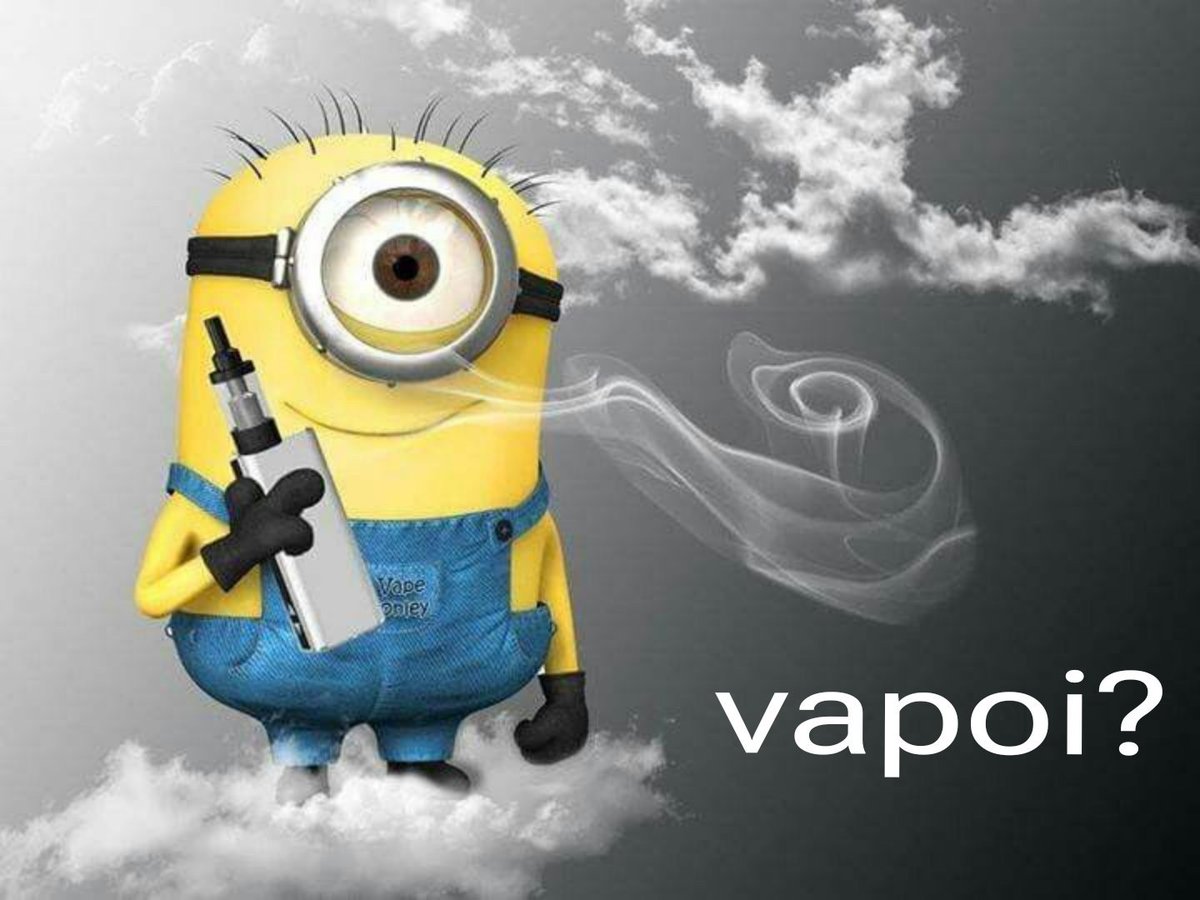 PacoTaco :3 tweet media