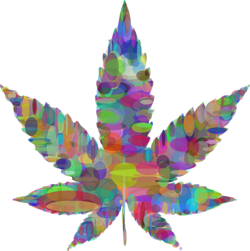 todd_harrison's tweet image. Review: &quot;cannabinoids may alleviate symptoms of multiple sclerosis, rheumatoid arthritis, and systemic lupus erythematosus, although their long-term impact on immune competence remains uncertain.&quot;

sciencedirect.com/science/articl…