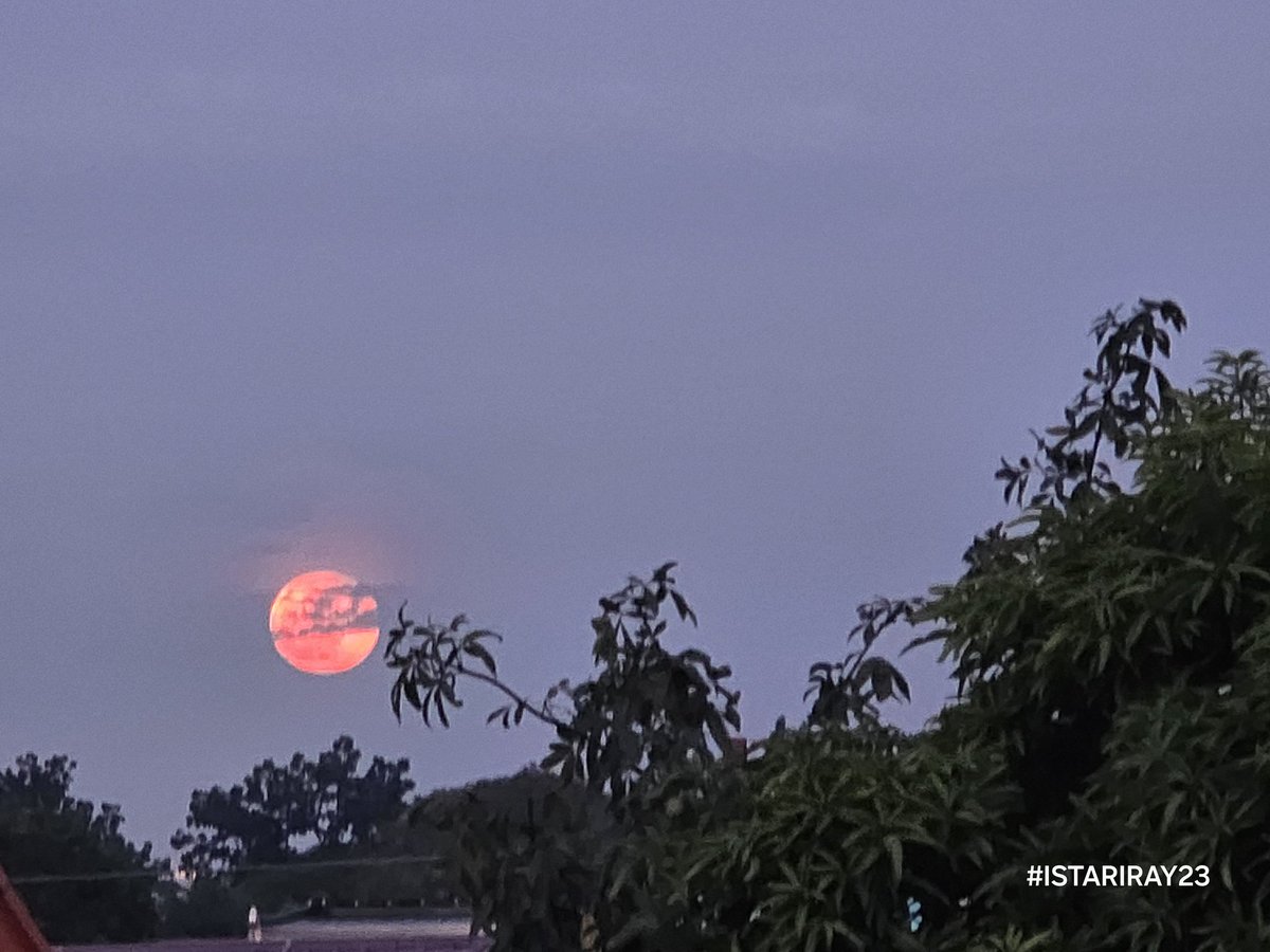 istariray23's tweet photo. Moon tonight...
Indeed sooo lovely 😍 https://t.co/79Iy8t63PX
