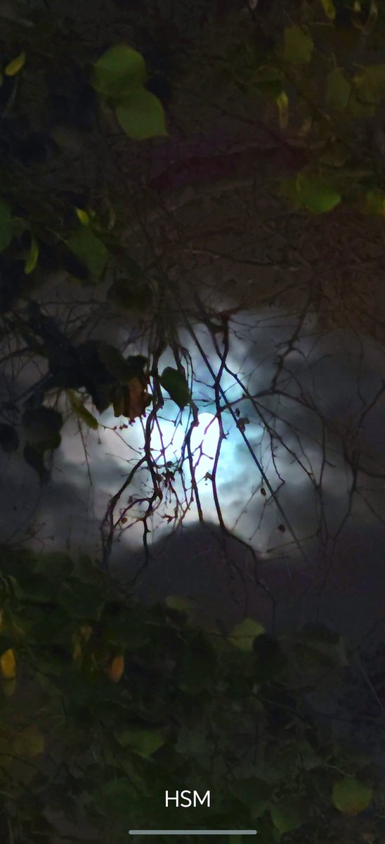 حامد المطيري (@ofbaaa) on Twitter photo 