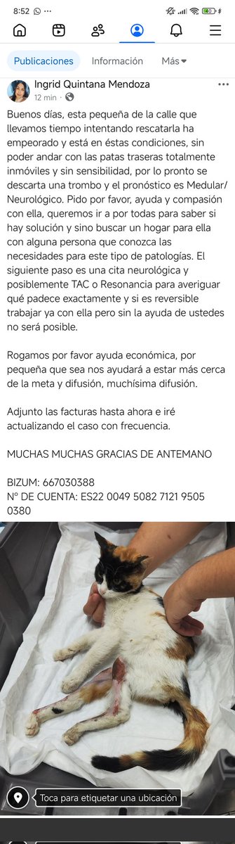 GirlOnnFire's tweet photo. Por favor necesitamos difusión de este caso. Está pequeña necesita ayuda. 
Iré actualizando Hilo @shewolfie1912 https://t.co/RUuWuclllr