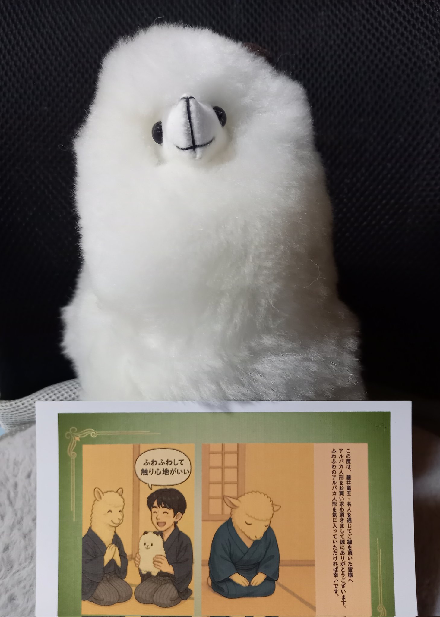 ♡アルパちゃん♡４点ご購入ページ 711+CnvE7aL._AC_UL210_SR210,