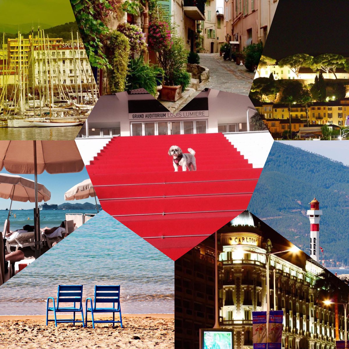 <a href="/tabourelgenevi1/">t genevieve</a> <a href="/cannes_michel/">Michel de Cannes</a> <a href="/genevievinteu1l/">MiladyVinteuil</a> <a href="/IsaLevyPrat/">🦂Isabelle🌹🏄‍♀️ 🐬 ✈️ 🚁</a> <a href="/Fleur2108/">Balou#💒🌿🇦🇷</a> <a href="/Nizou66/">Nizou 🌴🌻🦉📚📷</a> <a href="/jmlpyt/">jmlpyt photography</a> 😊👍🏻