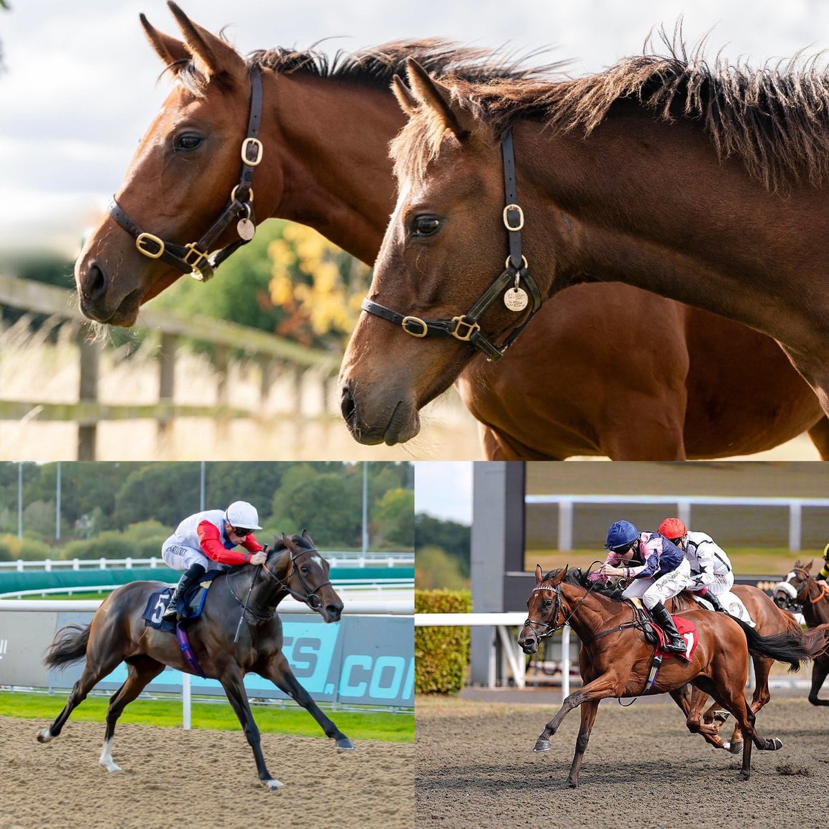 Jonathon Smithers tweet media