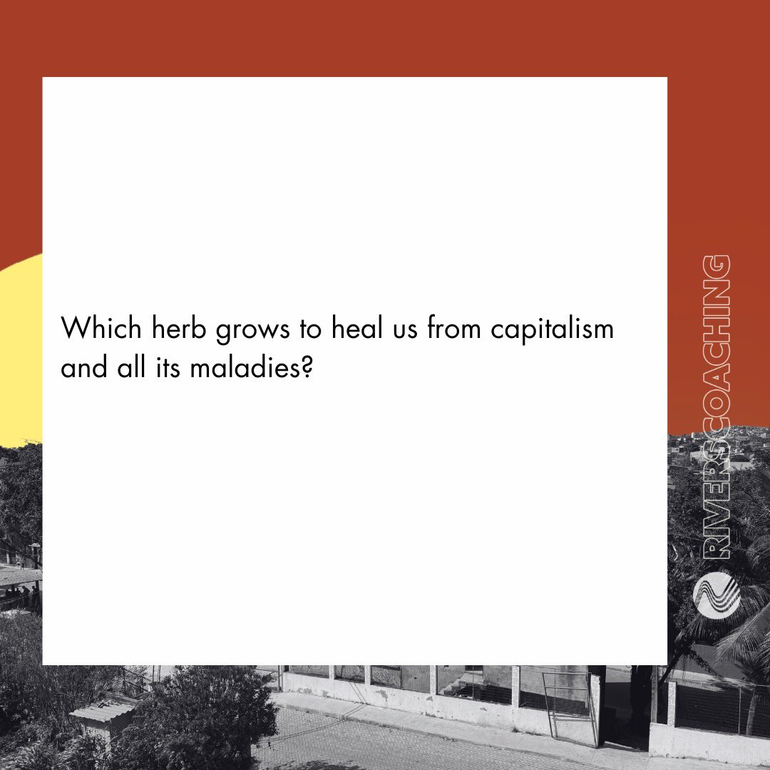 Rivers Coaching tweet media