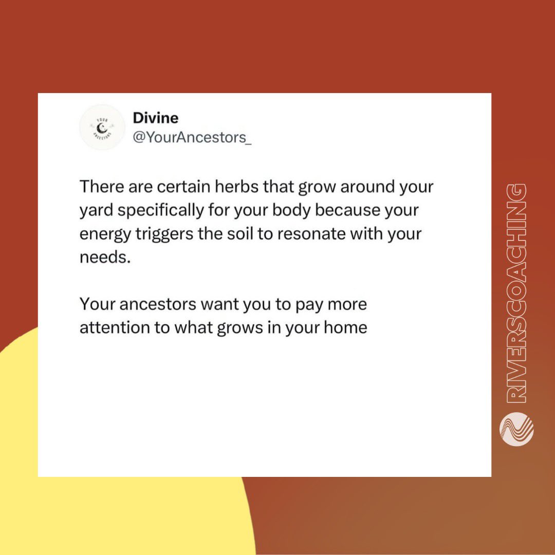 Rivers Coaching tweet media