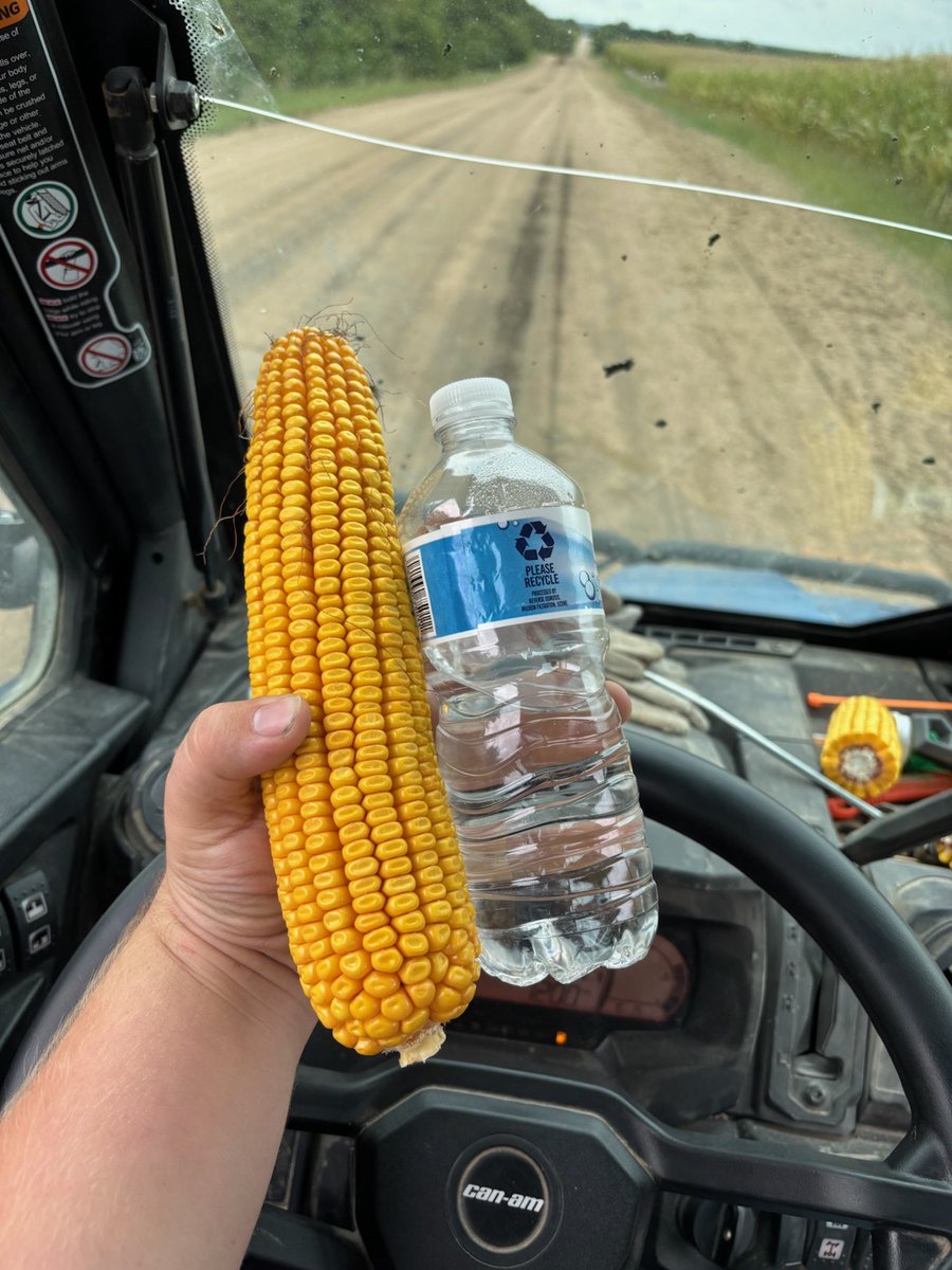 TeraGanix's tweet photo. “It’s the best corn I’ve ever seen!" - An ear out of trial plot, where our farmer cut back inputs and did Nitrogen reduction program + microbes on soil. Will be sharing more soon as we’ll be traveling all across the states visiting our farmers! #corn #kansasfarm #kansas #nitrogenreduction